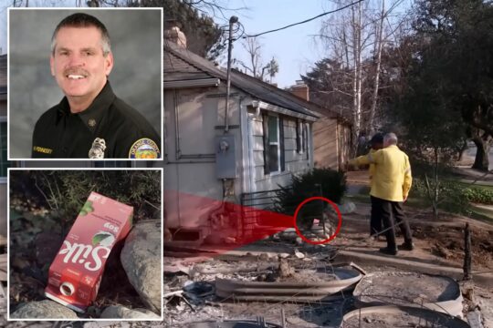 California Fire Chief Saves Altadena Homes from Blaze with Nothing but Milk and ‘a Couple Beers’