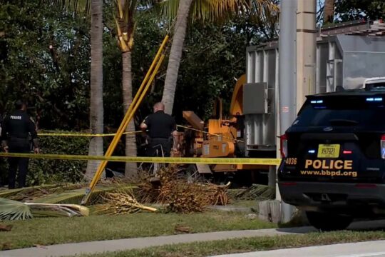 Tree Trimmer Killed in Wood Chipper Accident