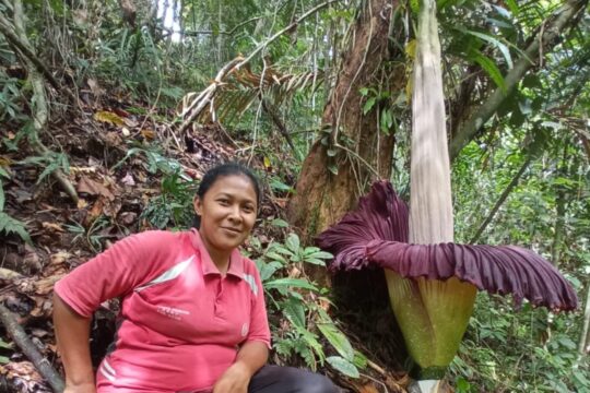 Corpse Flower