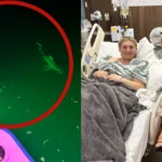 Two Friends Survive Shark Attack While Vacationing in the Bahamas
