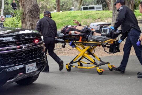 Shooting at Featherly Regional Park Leaves Three Hospitalized