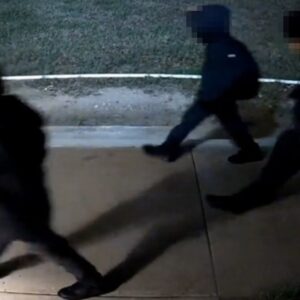 Two Juveniles Arrested for Capital Murder After Man Is Shot and Hit by Car in Texas