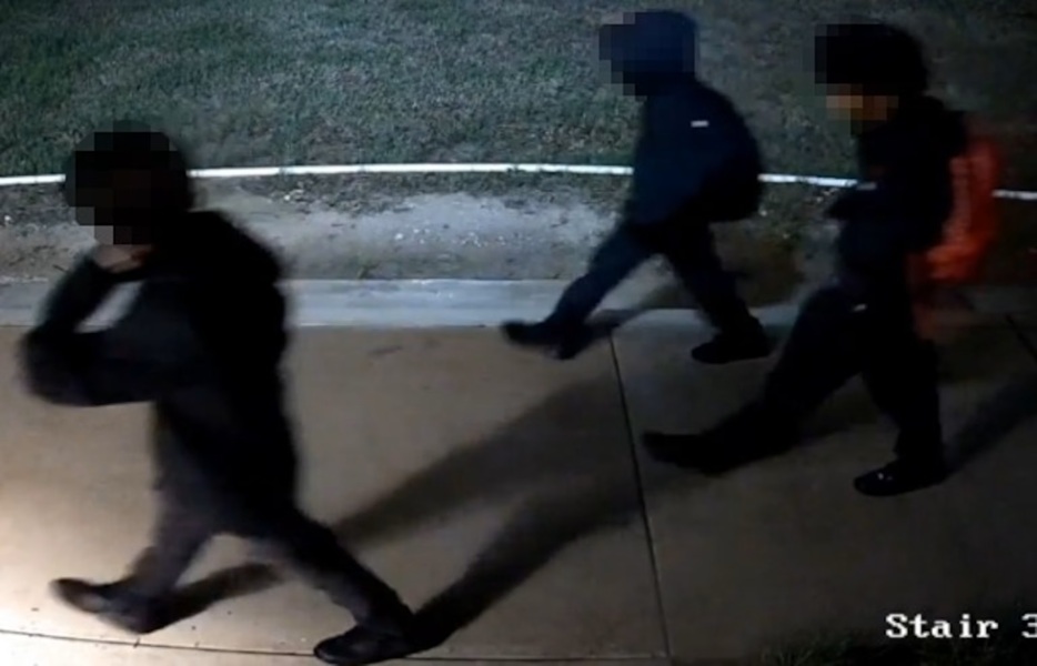 Two Juveniles Arrested for Murder After Man Is Shot and Hit by Car in Texas