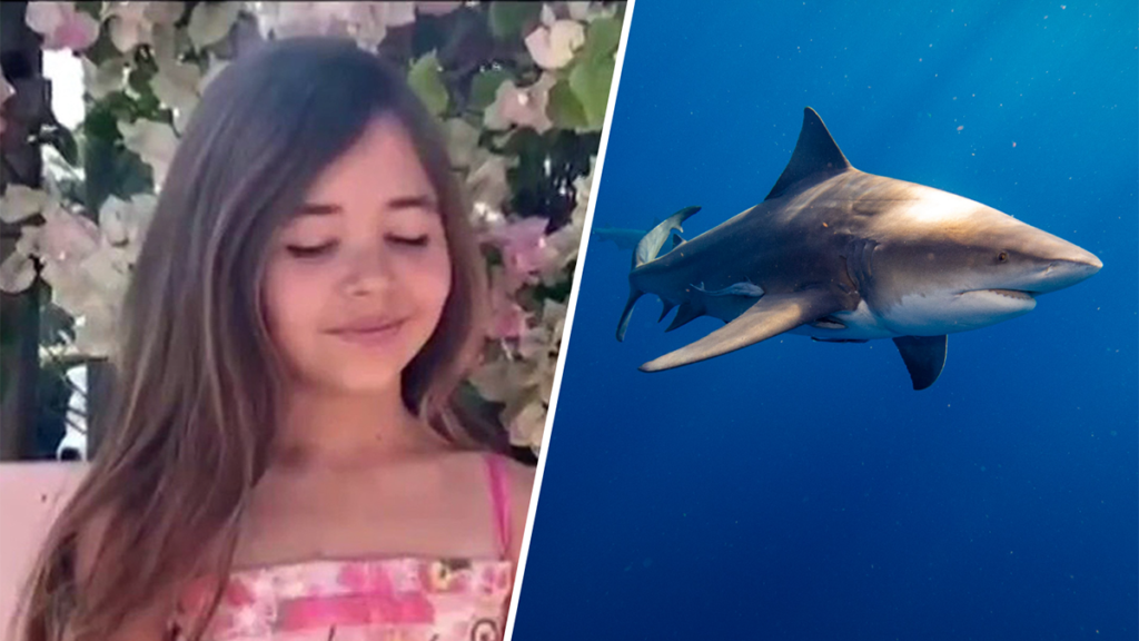 Florida Shark Attack Leaves 9-Year-Old Girl Severely Injured