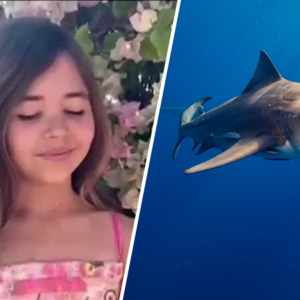 Florida Shark Attack Leaves 9-Year-Old Girl Severely Injured