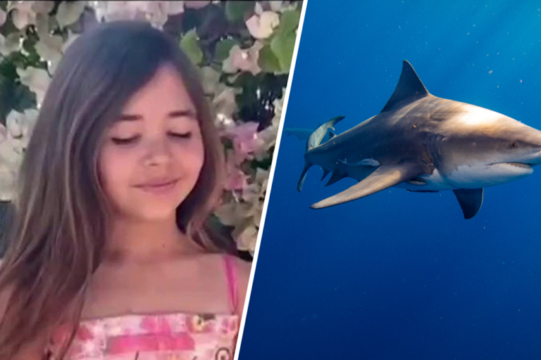 Florida Shark Attack Leaves 9-Year-Old Girl Severely Injured