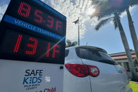 Hot Car Deaths Surge as Record Heat Wave