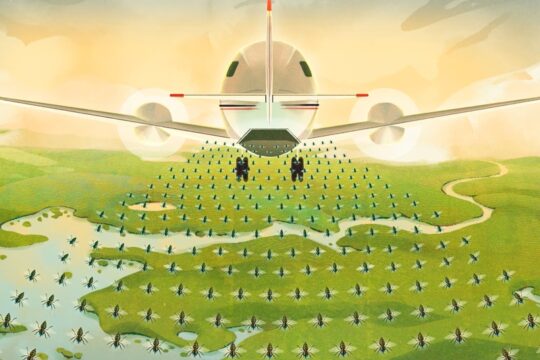 The sterile flies USDA initiative is ramping up after the flesh-eating New World screwworm fly was detected moving north through Mexico