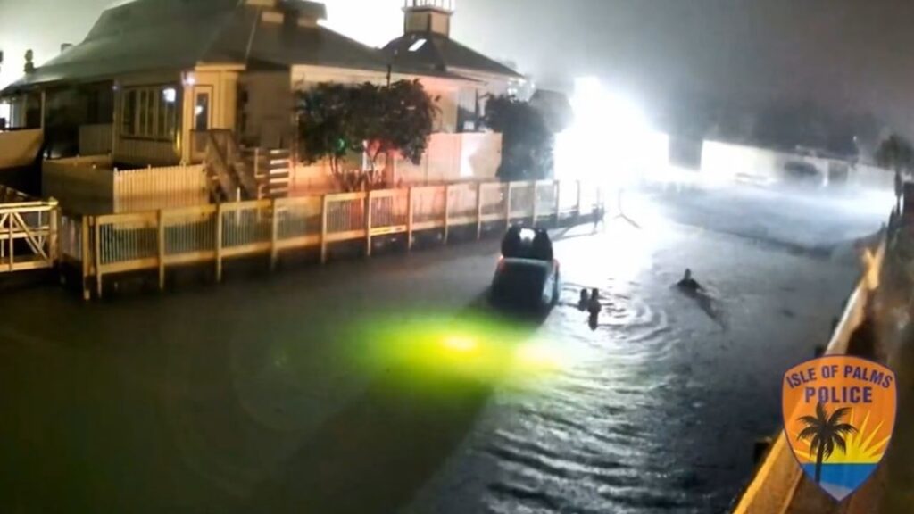 Isle of Palms Rescue