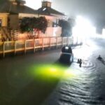 Isle of Palms Rescue
