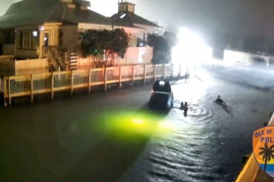 Isle of Palms Rescue