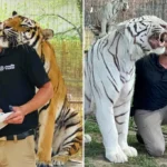 Oklahoma Tiger Handler Killed in Fatal Accident at Growler Pines Preserve