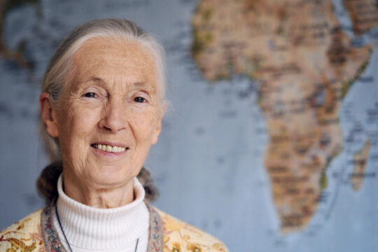 Jane Goodall, Legendary Primatologist and Conservationist, Dies at 91