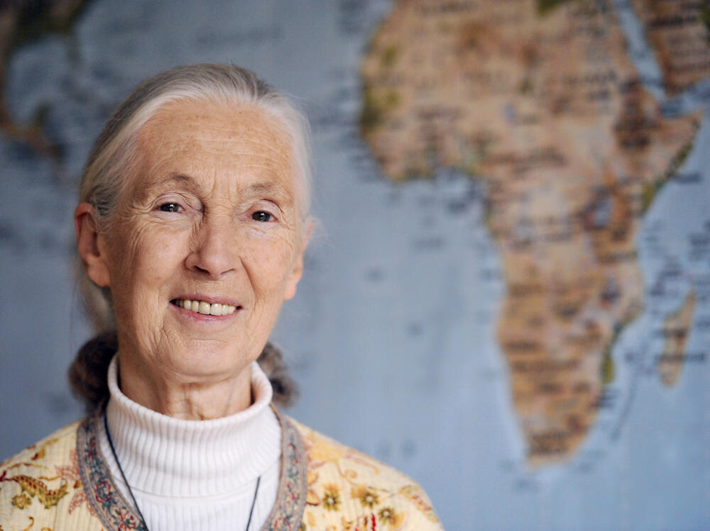 Jane Goodall, Legendary Primatologist and Conservationist, Dies at 91