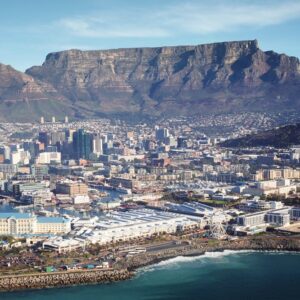 Operation Thunder 2025 rescues nearly 30,000 animals in global wildlife sting