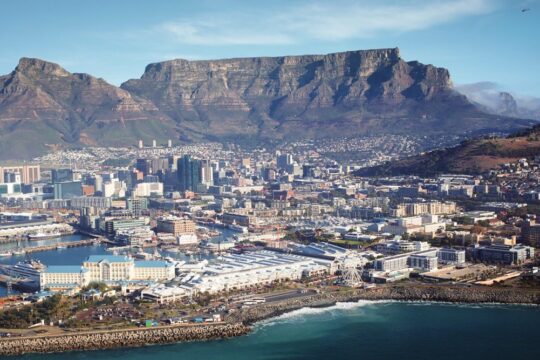 Operation Thunder 2025 rescues nearly 30,000 animals in global wildlife sting