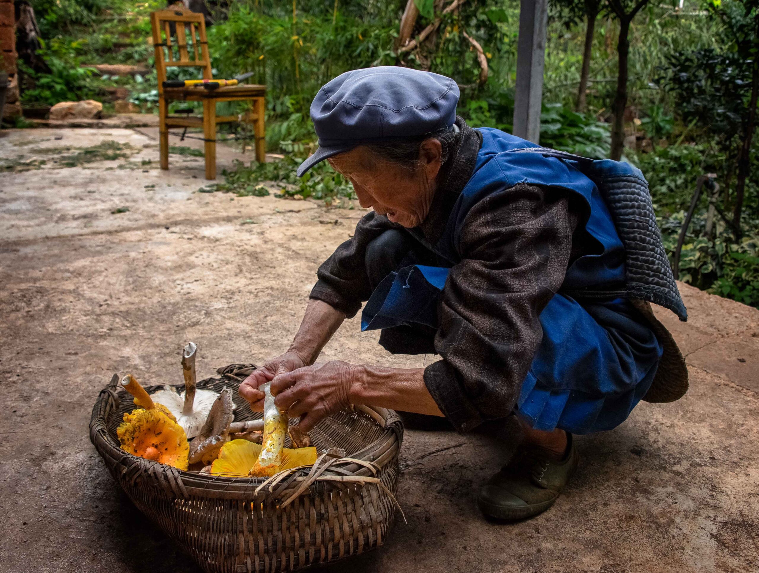 A public warning sign in a forest, cautioning against mushroom foraging