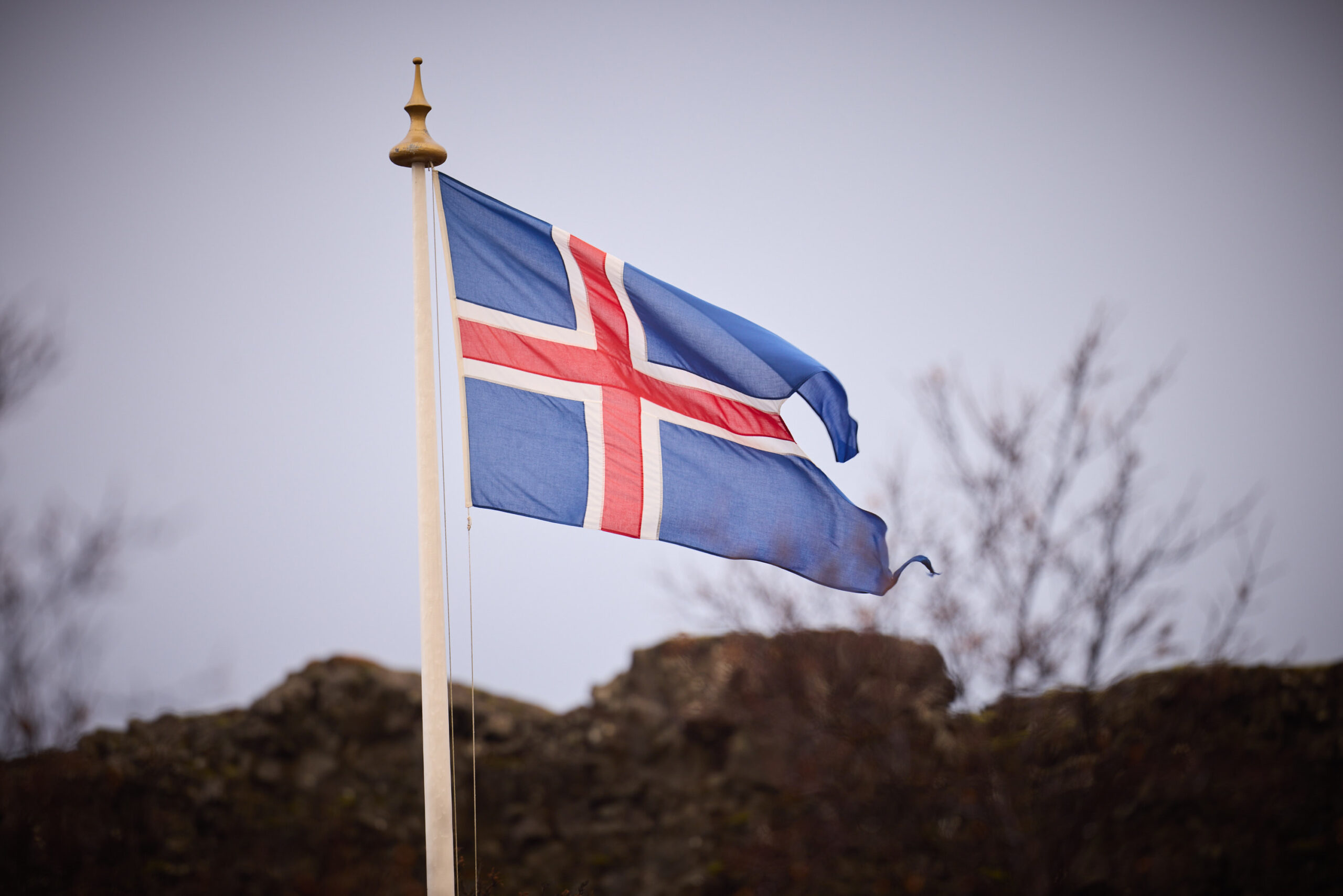 A NATO meeting table featuring flags of member nations in a formal summit setting