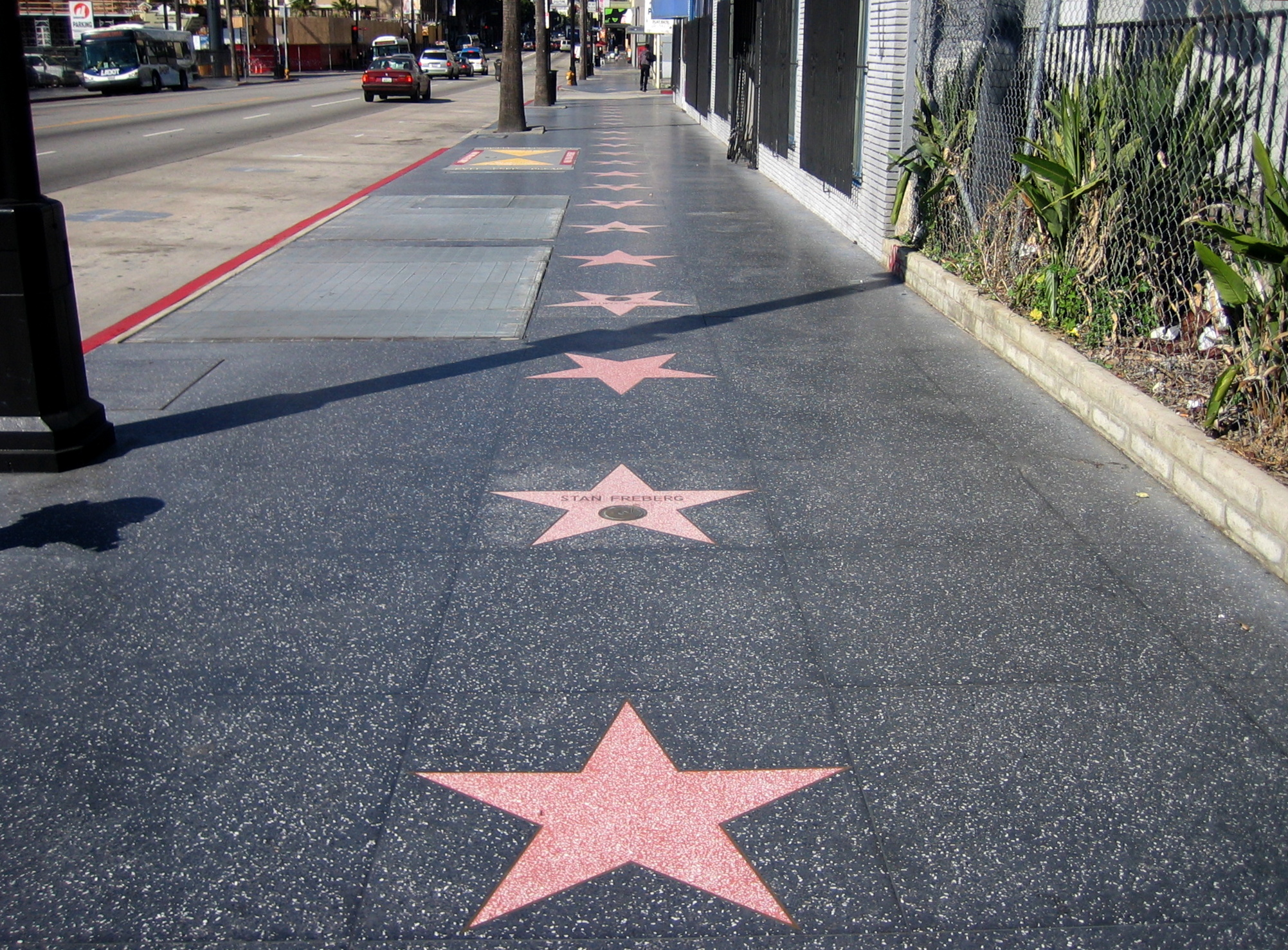 A photo of a Hollywood Walk of Fame sidewalk representing the entertainment industry