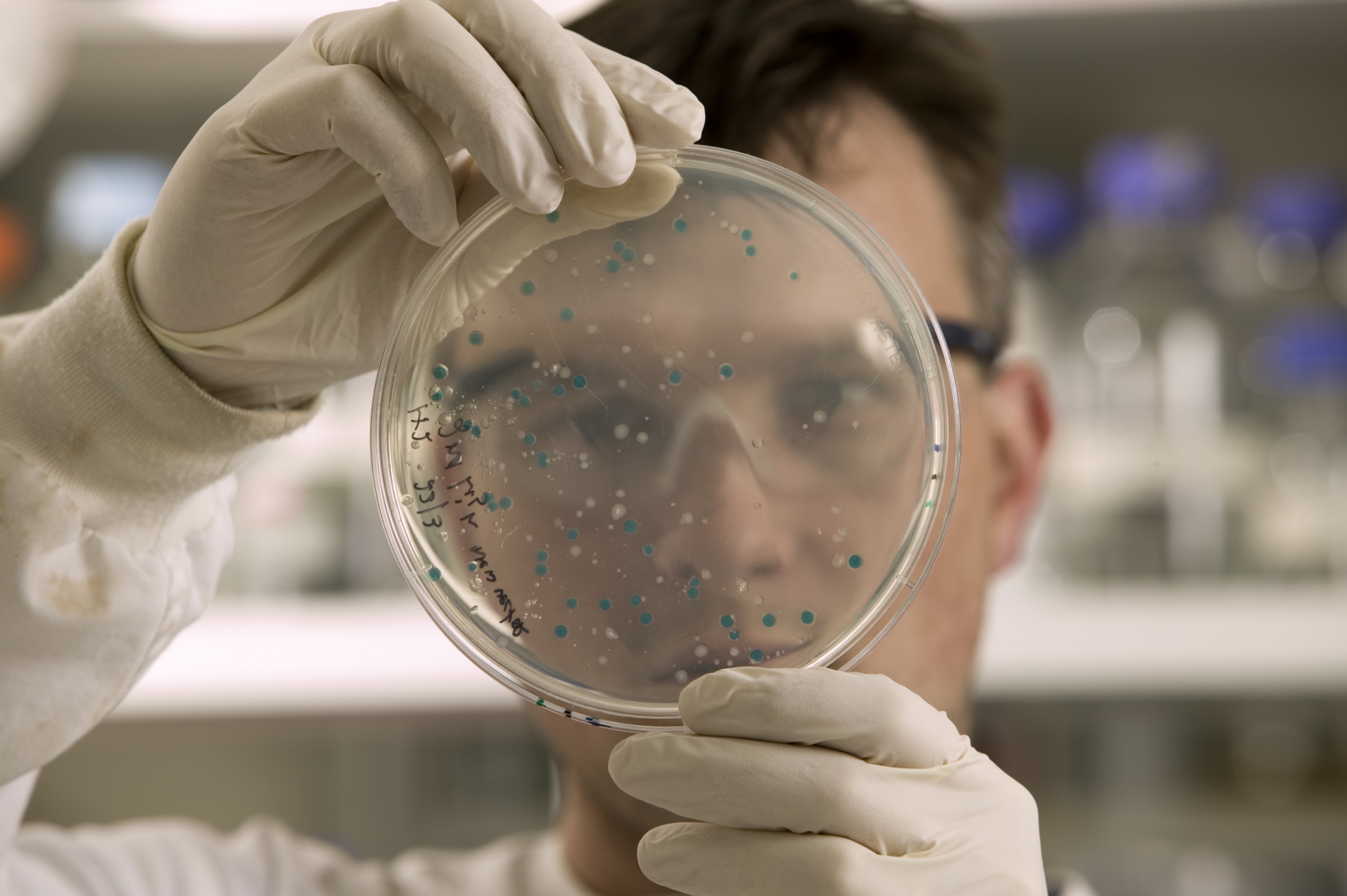 A microbiologist examining a petri dish in a laboratory