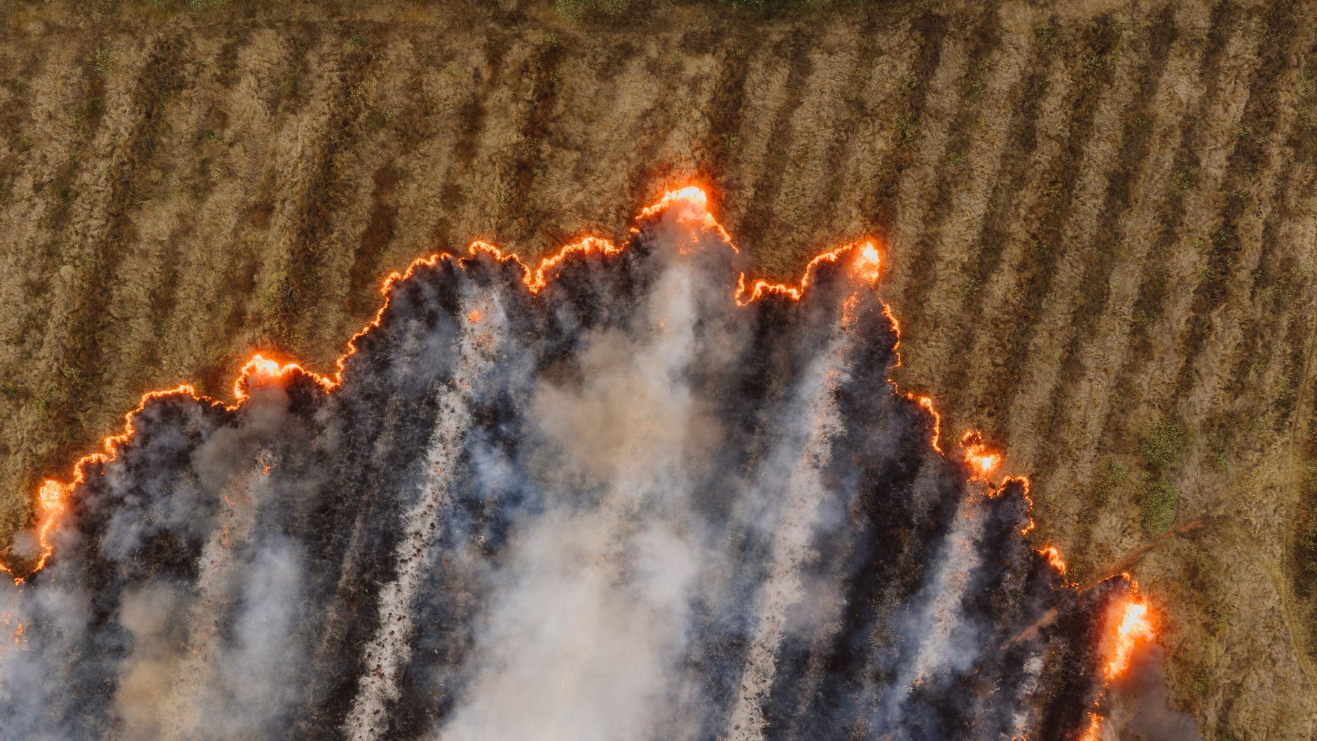 Utah wildfires