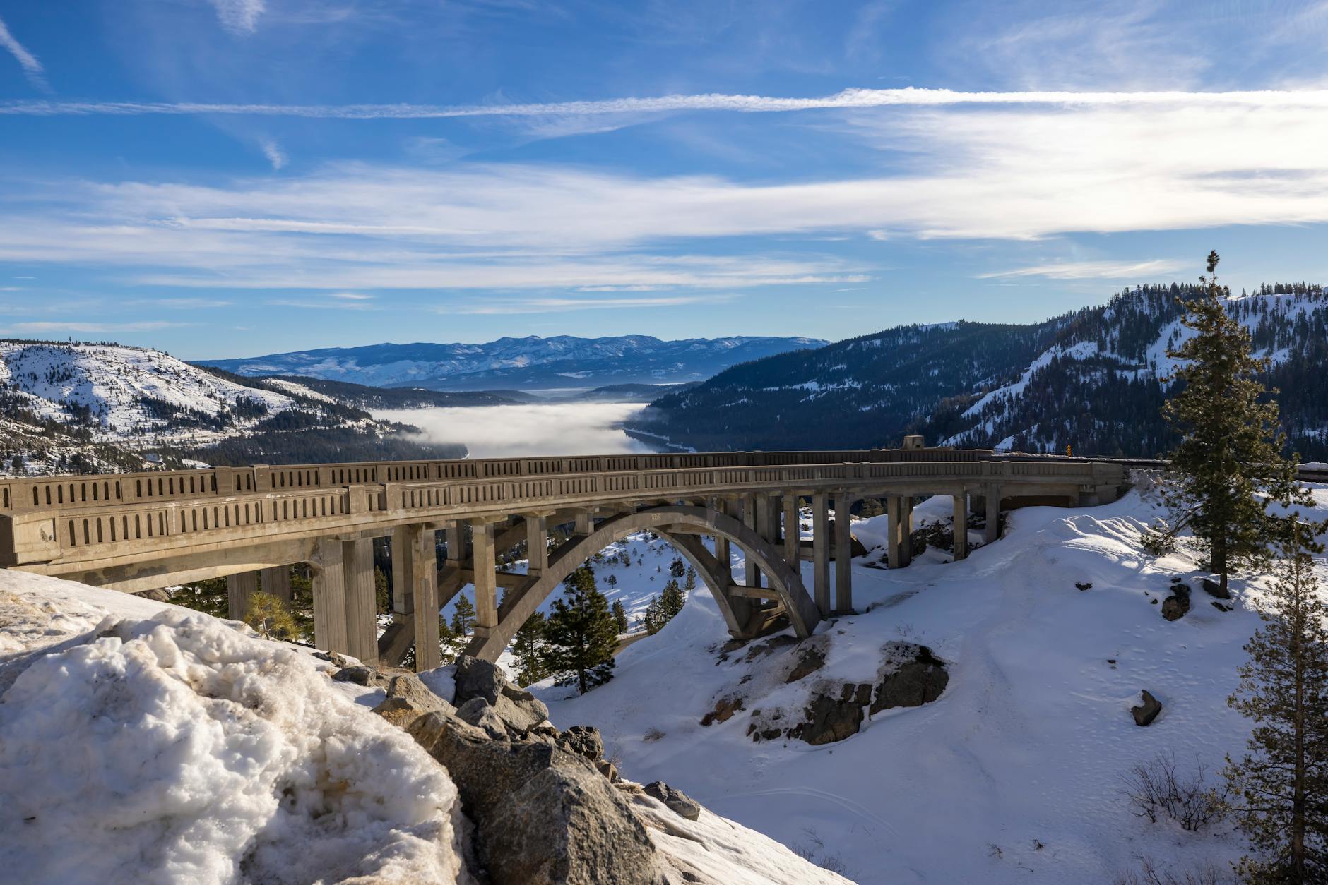 wildlife bridge california