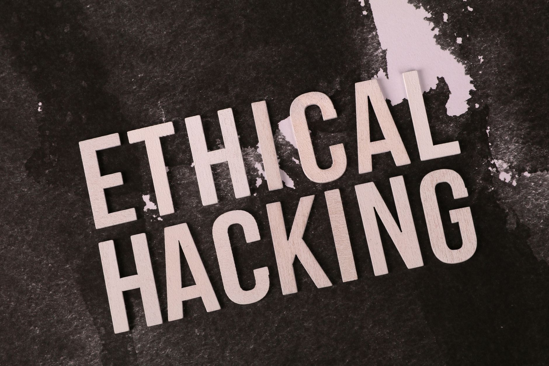 Europol Nihilist Network Takedown