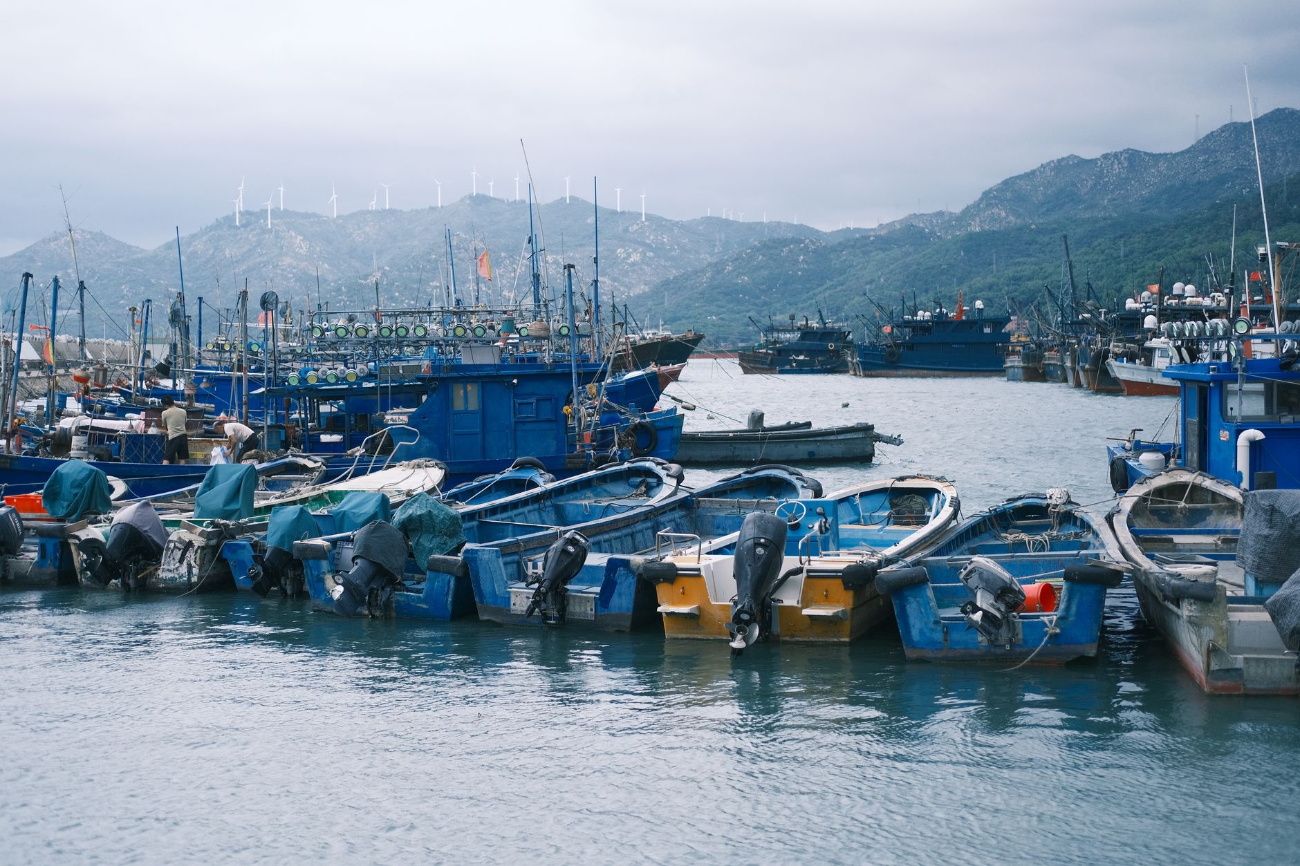 China offshore trust tax
