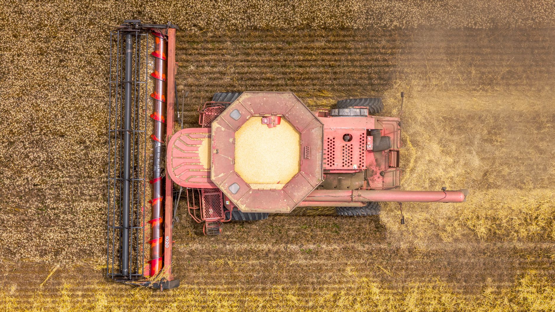 farmer destroys crops AI advice