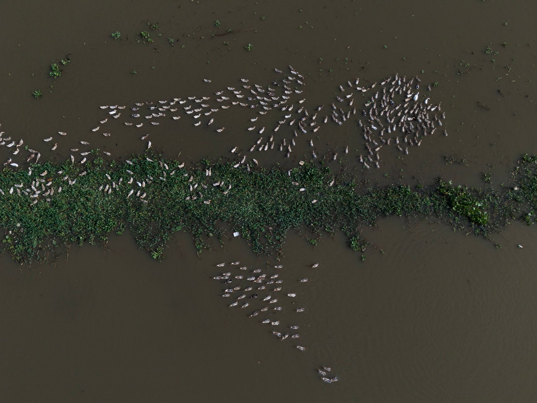 Flock Safety drones