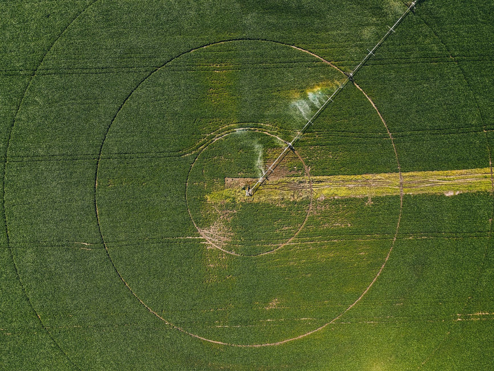 Taylor Farms outbreak pattern