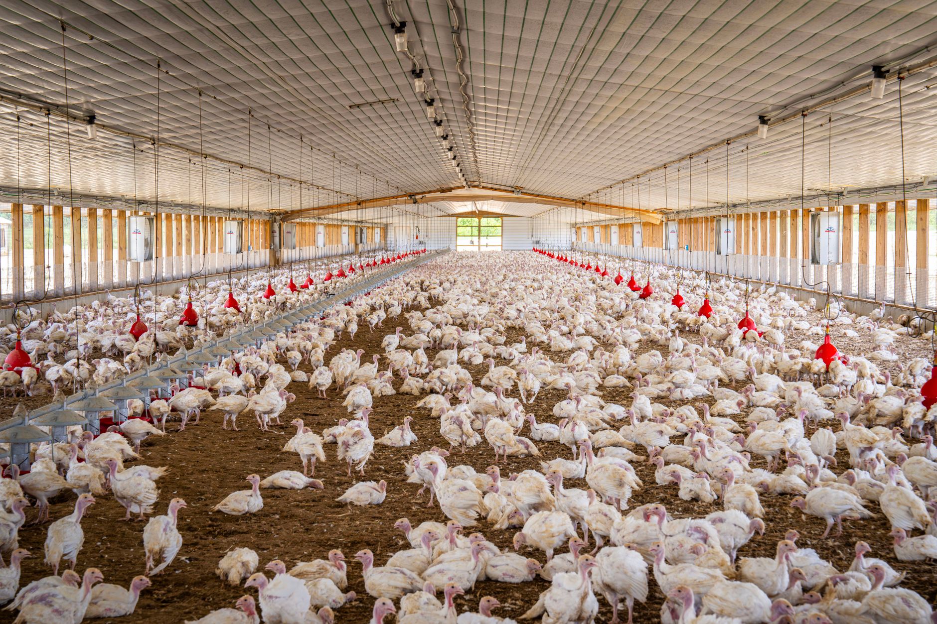 Taylor Farms recall