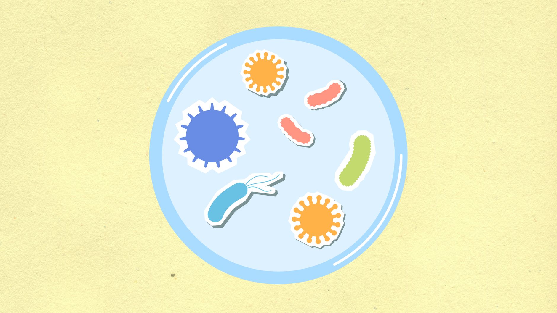 uranium-eating bacteria