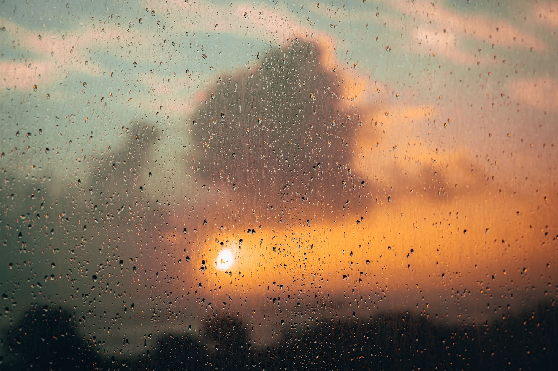 Windows 11 Weather app