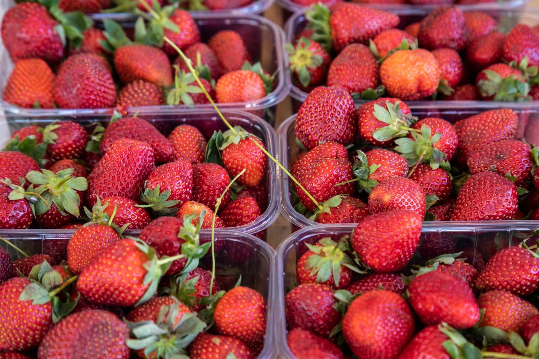 berries pesticide recall