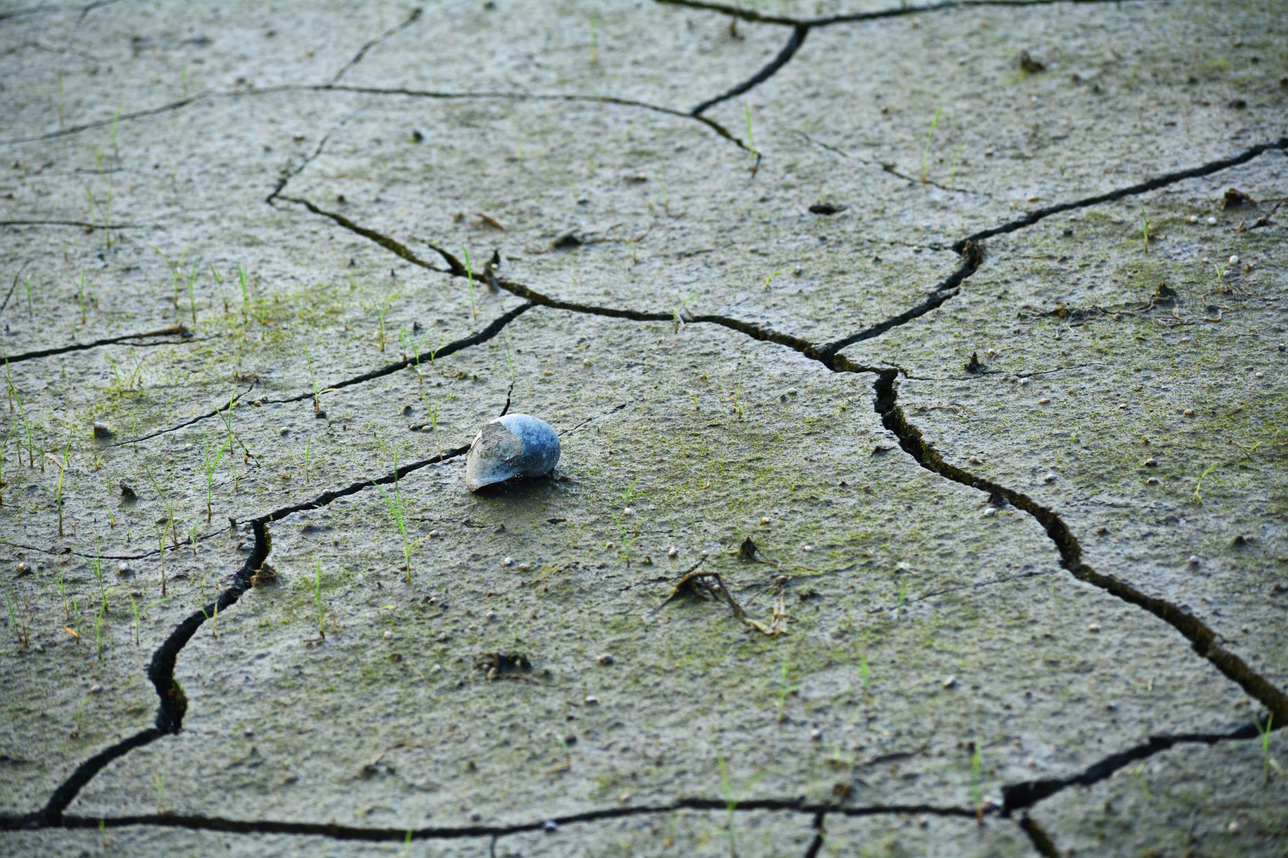 Climate Change UN Point of No Return