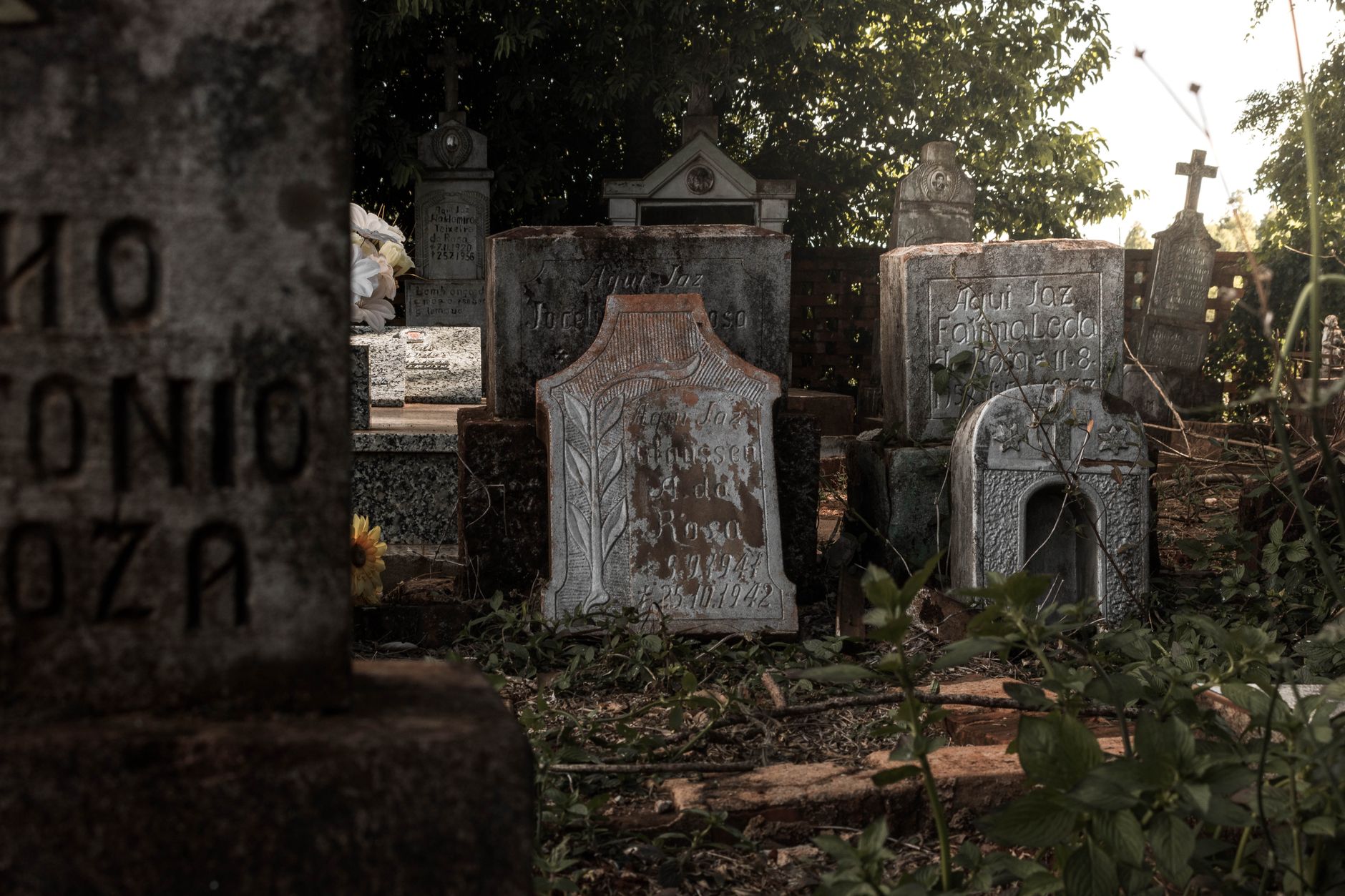 El Niño deaths