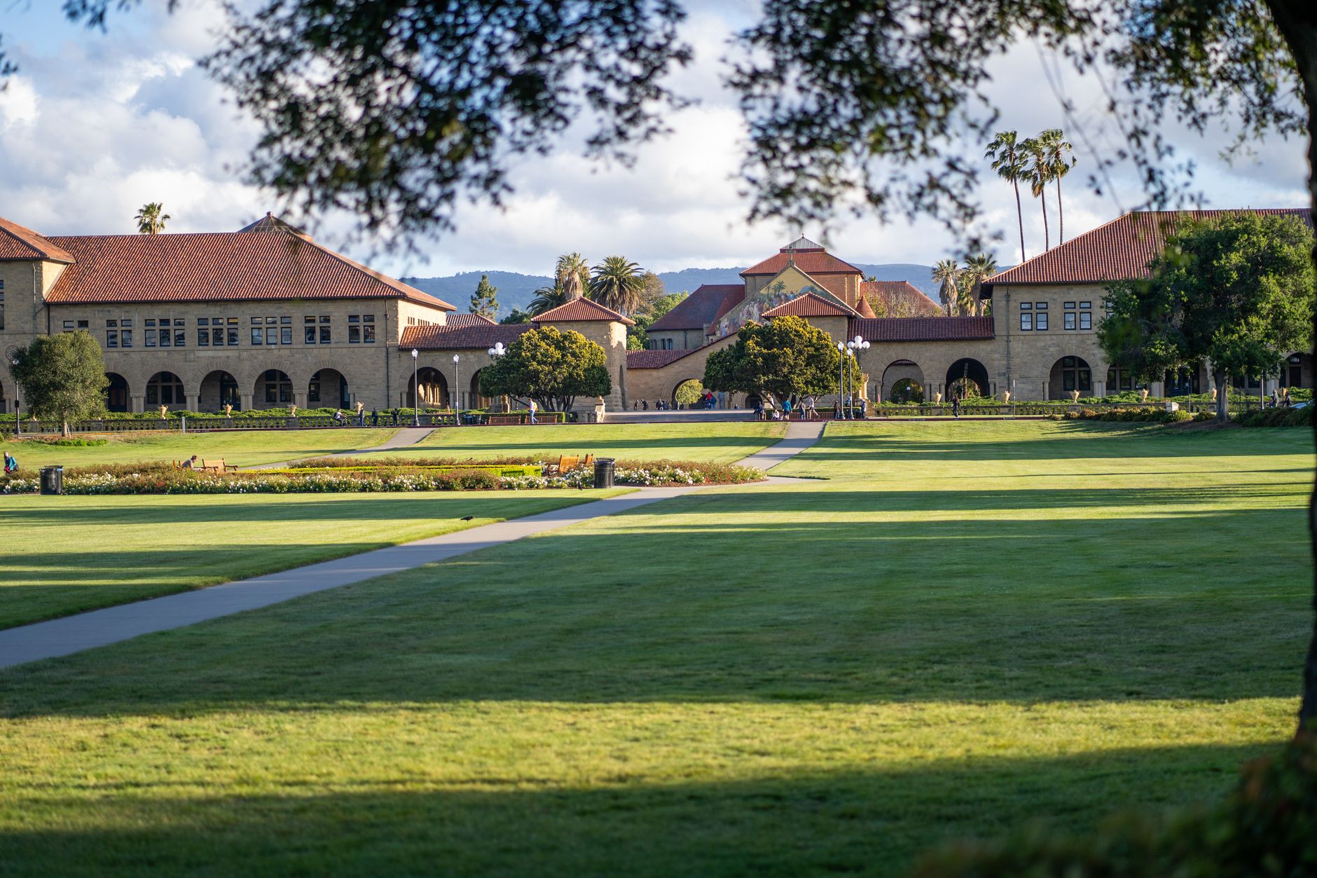 Stanford AI policy violation