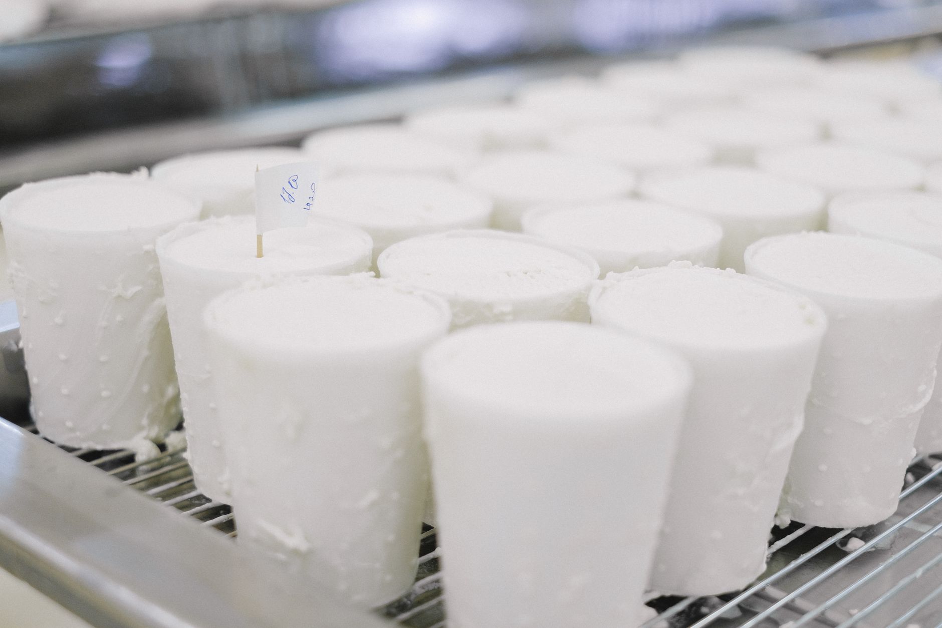 raw milk cheese