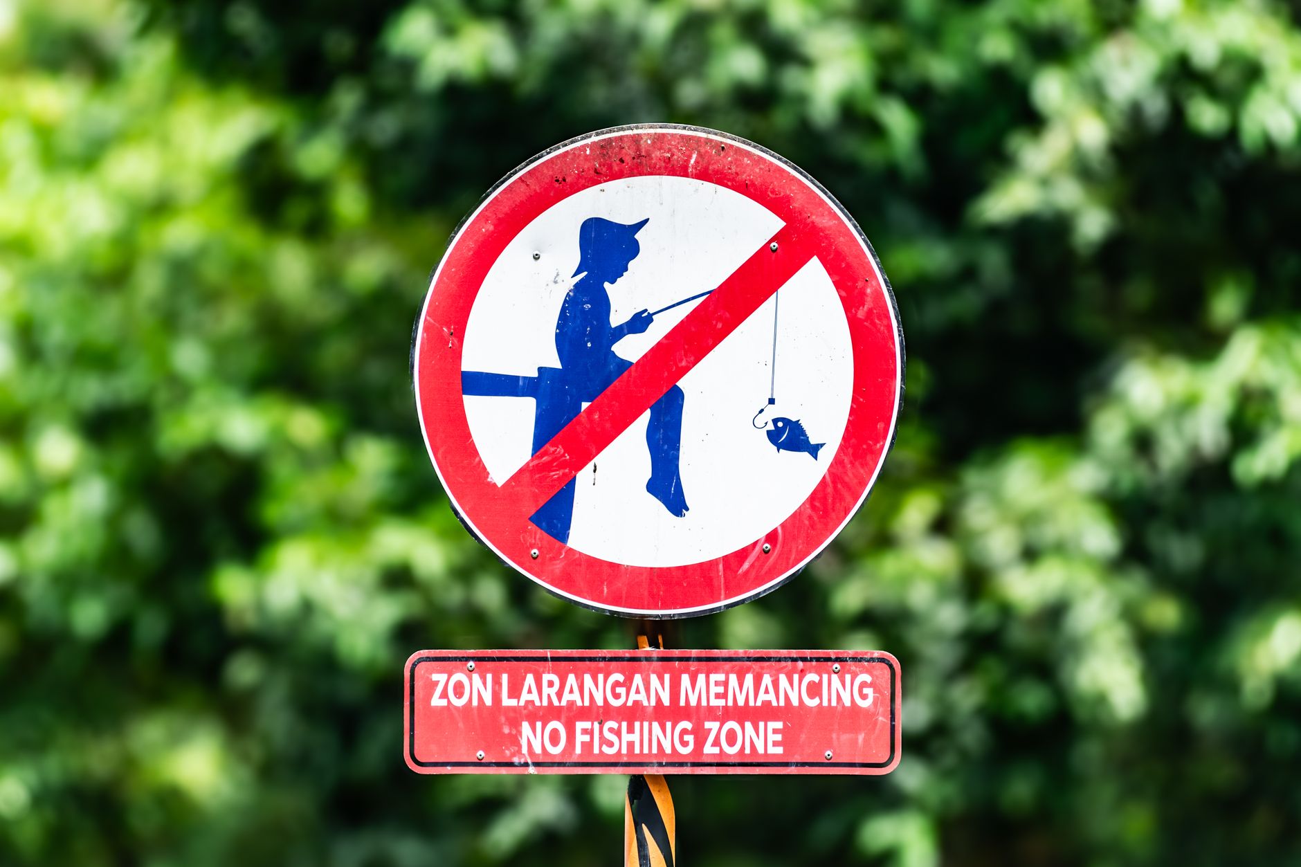 porn strangulation ban